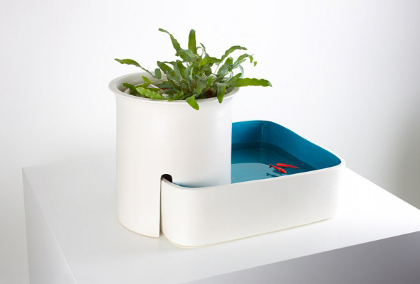 DUENDE - Domestic Ponds, 2010 - Duende et Galerie BSL Paris